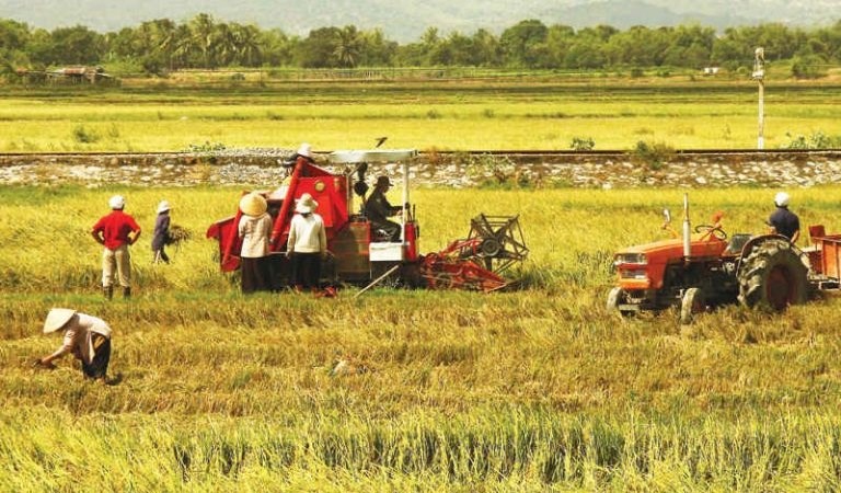 Nongnghiep 768x512 Hmxy